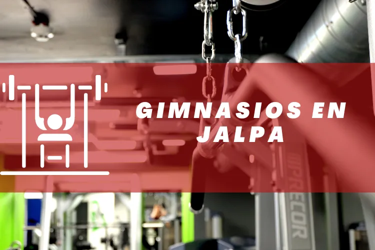 Gimnasios en {municipio(municipio}