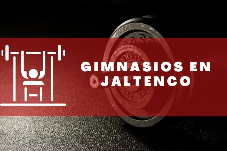 Gimnasios en {municipio(municipio}
