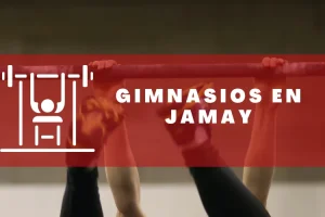 Gimnasios en Jamay