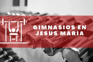 Gimnasios en Jesús María