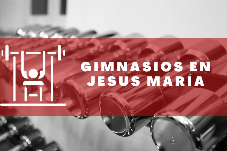 Gimnasios en {municipio(municipio}