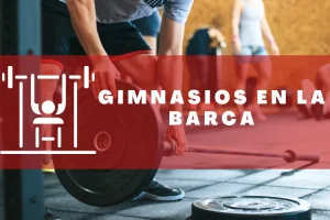 Gimnasios en La Barca