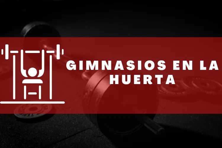 Gimnasios en {municipio(municipio}