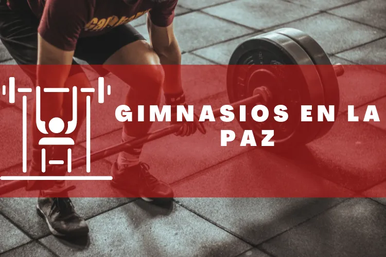 Gimnasios en {municipio(municipio}