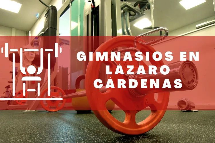 Gimnasios en {municipio(municipio}