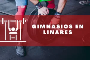 Gimnasios en Linares