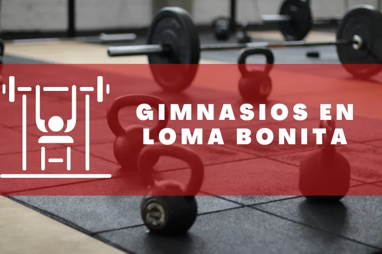 Gimnasios en {municipio(municipio}