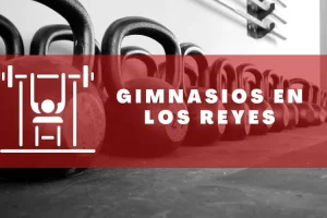 Gimnasios en Los Reyes