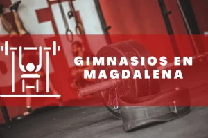 Gimnasios en Magdalena