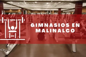 Gimnasios en Malinalco