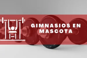 Gimnasios en Mascota