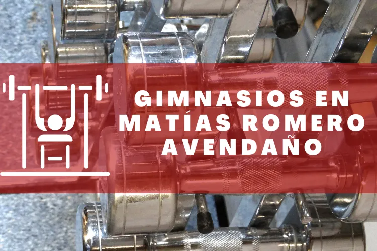 Gimnasios en {municipio(municipio}