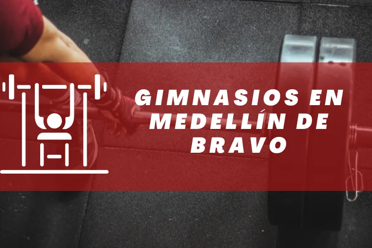 Gimnasios en {municipio(municipio}