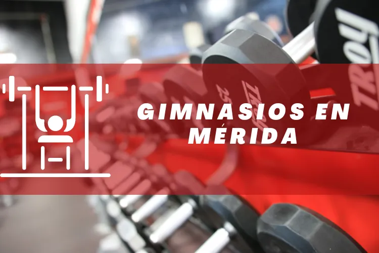 Gimnasios en {municipio(municipio}