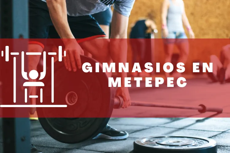 Gimnasios en {municipio(municipio}