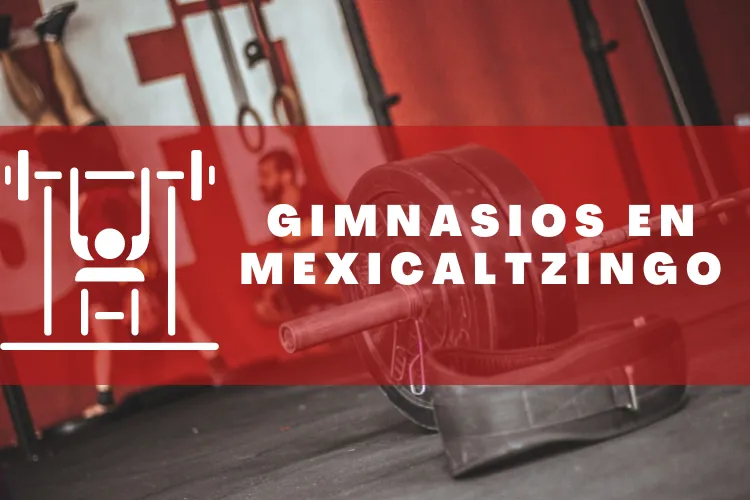 Gimnasios en {municipio(municipio}