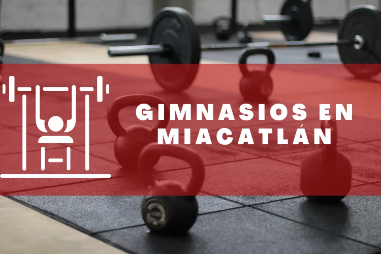 Gimnasios en {municipio(municipio}