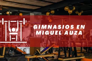 Gimnasios en Miguel Auza