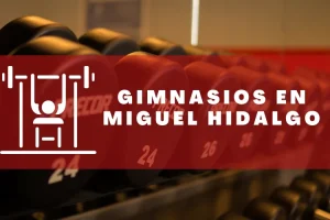 Gimnasios en Miguel Hidalgo