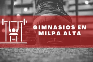 Gimnasios en Milpa Alta