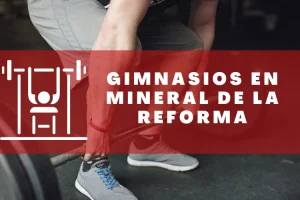 Gimnasios en Mineral de la Reforma