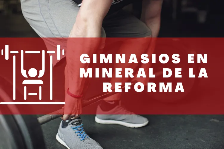 Gimnasios en {municipio(municipio}