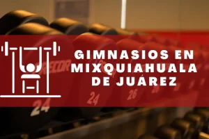 Gimnasios en Mixquiahuala de Juárez