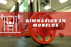 Gimnasios en Morelos