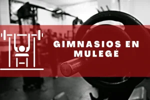 Gimnasios en Mulegé