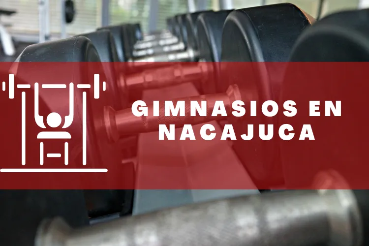 Gimnasios en {municipio(municipio}