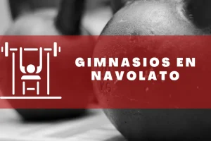 Gimnasios en Navolato