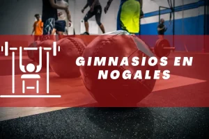 Gimnasios en Nogales