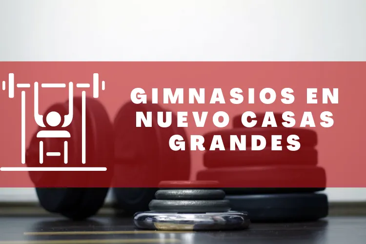 Gimnasios en {municipio(municipio}