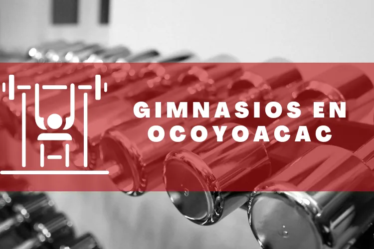 Gimnasios en {municipio(municipio}