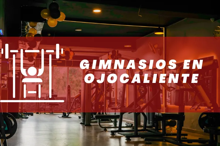 Gimnasios en {municipio(municipio}