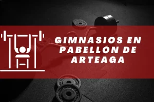 Gimnasios en Pabellón de Arteaga