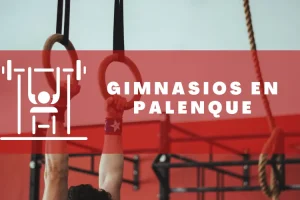 Gimnasios en Palenque
