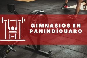 Gimnasios en Panindícuaro