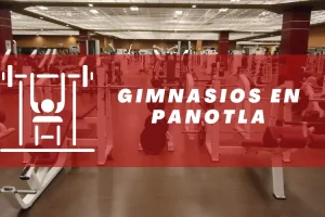 Gimnasios en Panotla