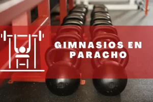 Gimnasios en Paracho