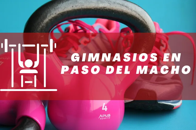 Gimnasios en {municipio(municipio}