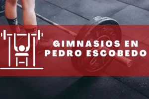 Gimnasios en Pedro Escobedo