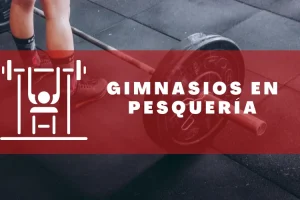 Gimnasios en Pesquería