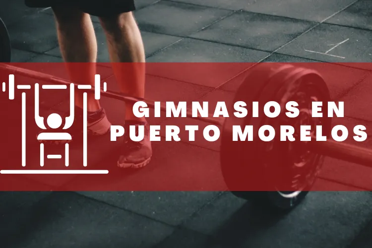 Gimnasios en {municipio(municipio}