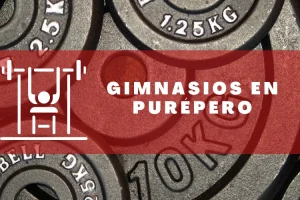 Gimnasios en Purépero