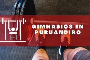 Gimnasios en Puruándiro