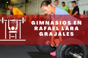 Gimnasios en Rafael Lara Grajales