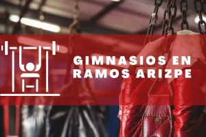 Gimnasios en Ramos Arizpe