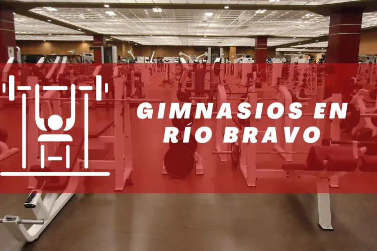 Gimnasios en {municipio(municipio}