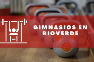 Gimnasios en Rioverde